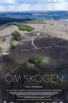 Om skogen